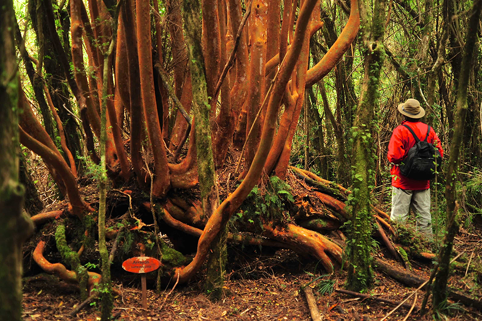 Parque Aiken del Sur Patagonia